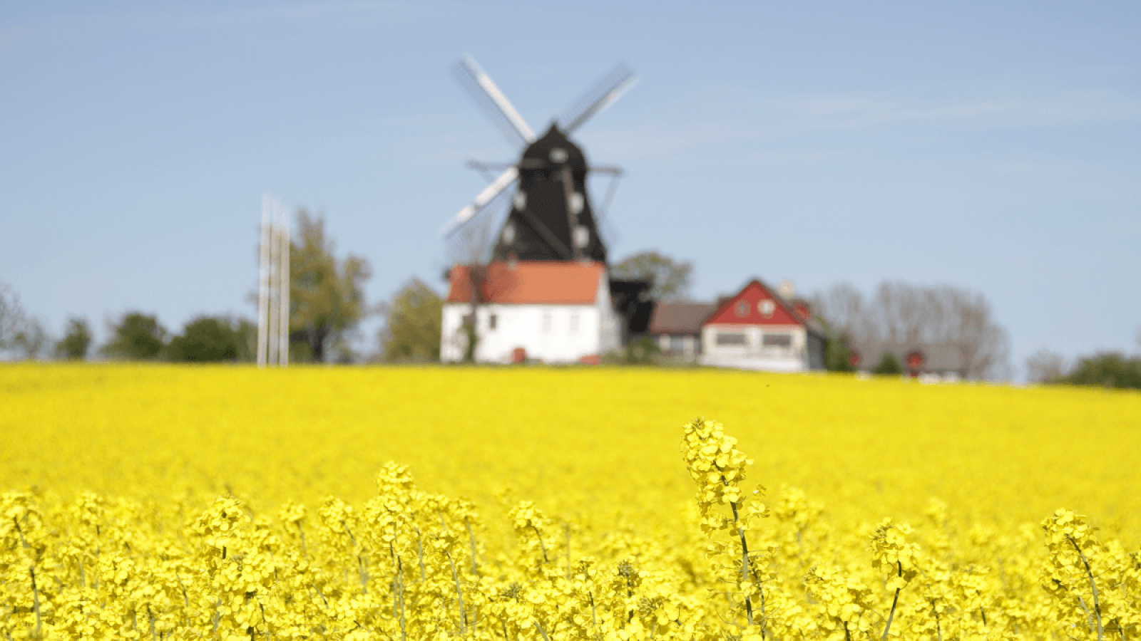 Windmill on the Swedish Countryside